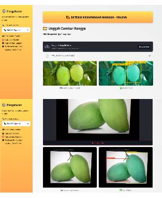 Mango Ripeness Detector Project